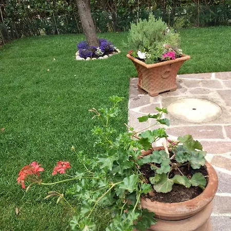 Lavanda & Rosmarino Castiglione della Pescaia