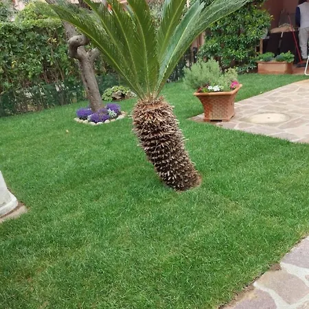 Apartment Lavanda & Rosmarino Castiglione della Pescaia